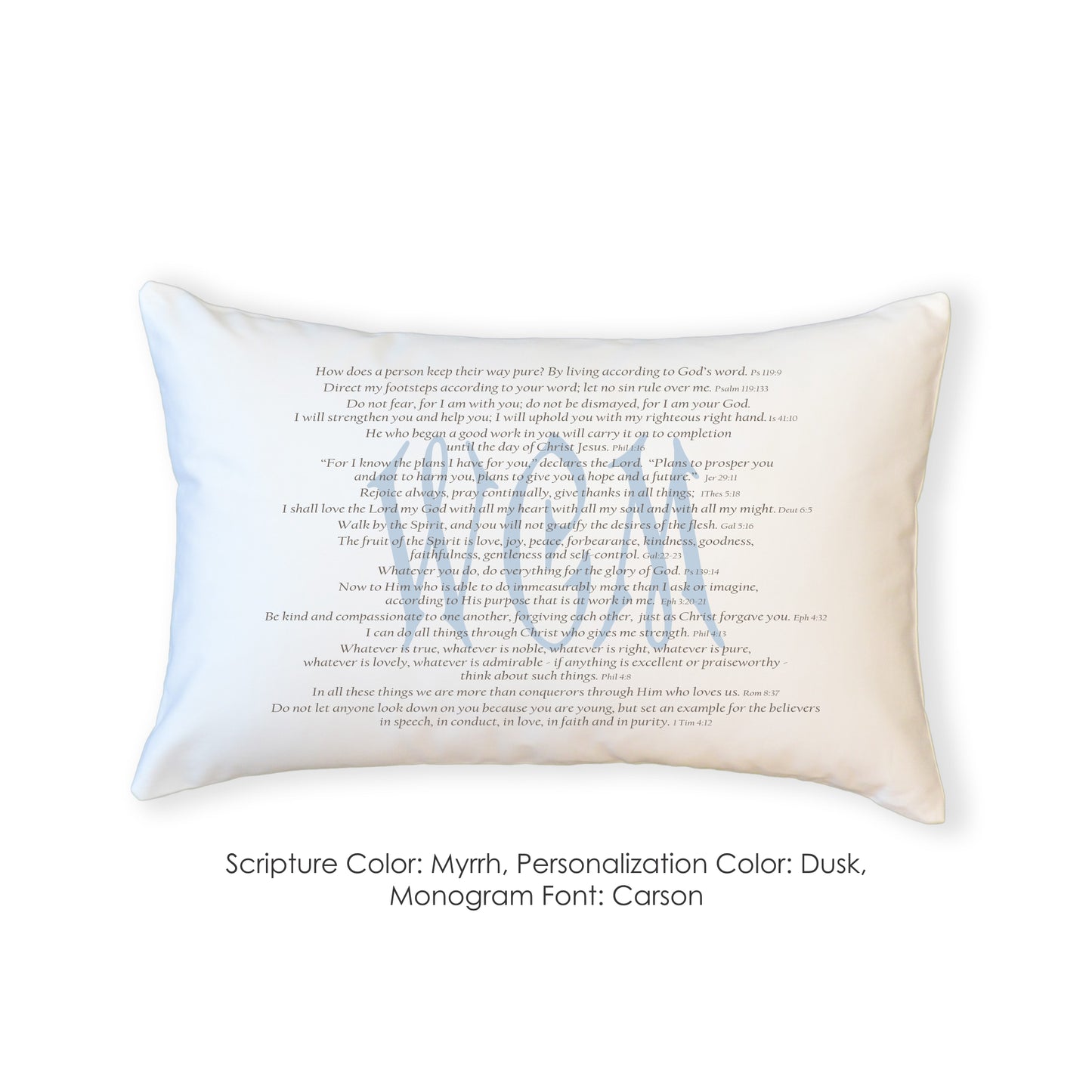 Scripture for Integrity - Boudoir Pillow