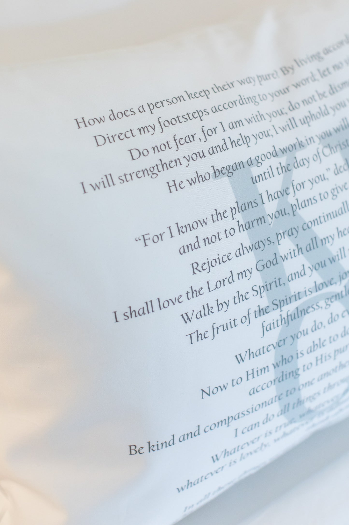 Scripture for Integrity - Boudoir Pillow