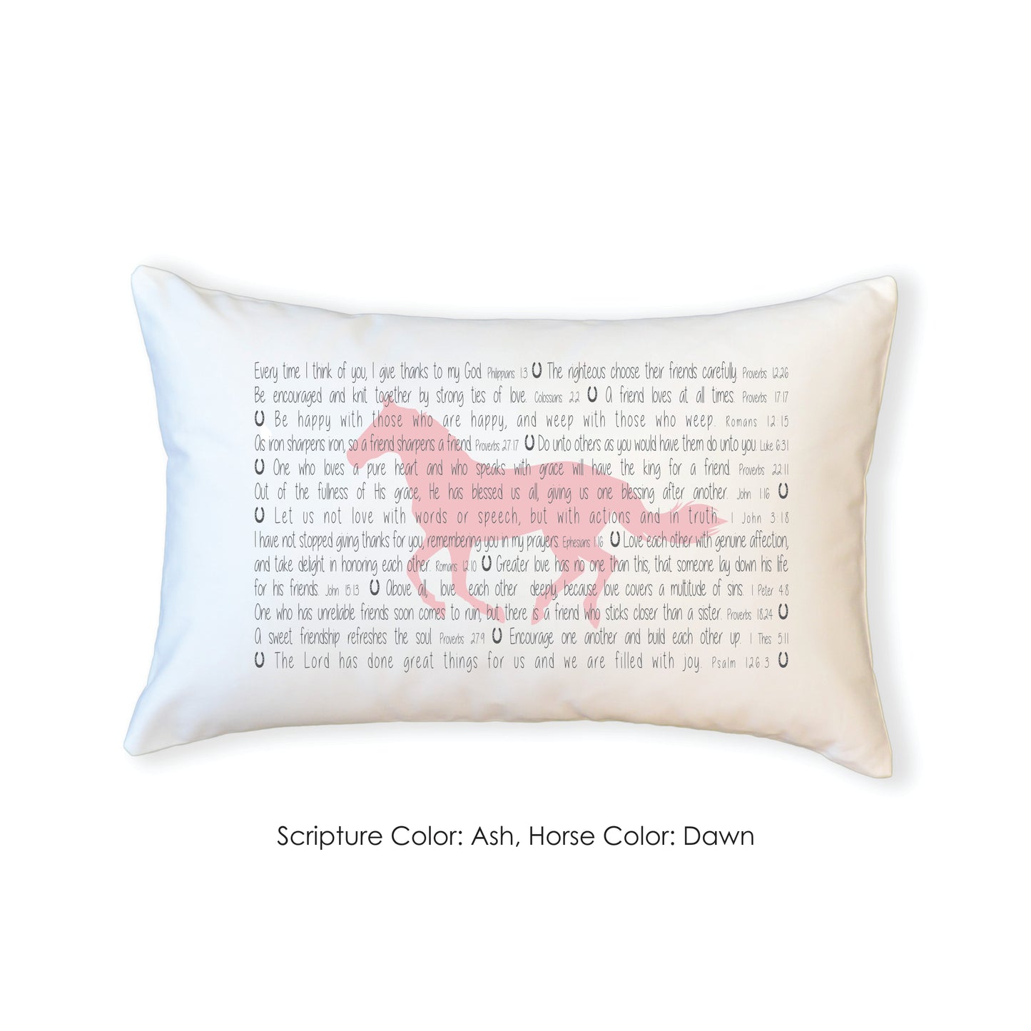 Scripture for Friendship (Horseshoe) - Standard Pillowcase
