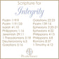 Scripture for Integrity - Boudoir Pillow